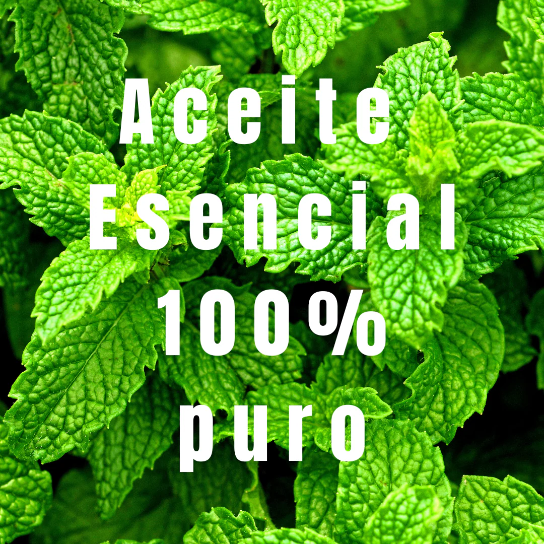 Aceite de Menta – Simple As