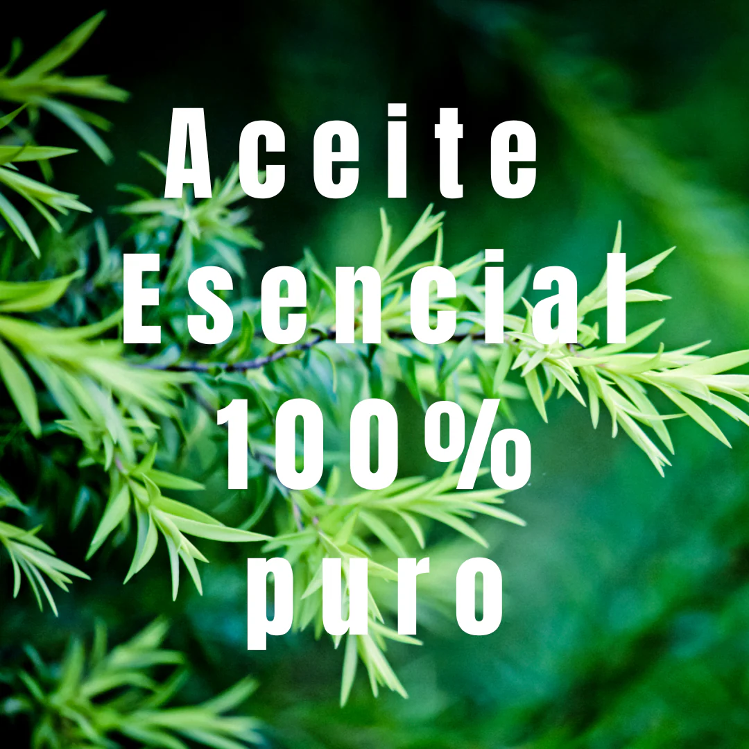 Aceite de Árbol de Té – Simple As